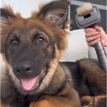 FurLogic Groomer - Deshedding kit